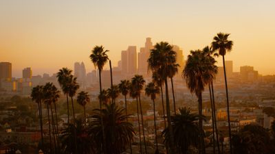 Hollywood Secrets: Sneaking Into Offbeat Locations of the Famous District - photo 2