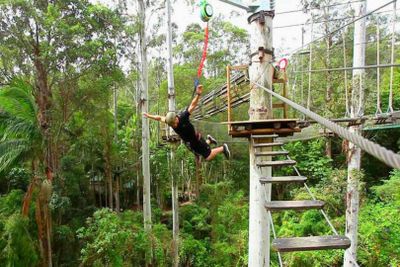 Заповедник Currumbin Wildlife Sanctuary and TreeTop Challenge: комбинированный билет