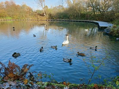 Manchester: Self-Guided Audio Walk Through Daisy Nook’s Waterways - photo 2