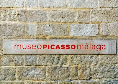 Malaga: Museo Picasso Entry Ticket