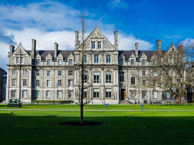 Dublin: a Journey through Centuries of Ireland's History - photo 2
