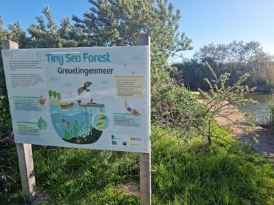 Ouddorp: Self-Guided Audio Tour durch Dünen, Damm und Delta