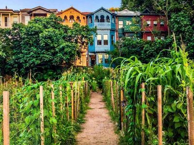 Istanbul: Kuzguncuk District Audio Tour