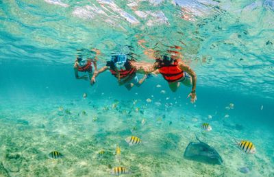 Парк Xcaret: Билет с быстрым входом