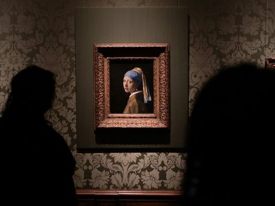 The Hague: The Mauritshuis Museum Ticket and a Self-Guided Audio Walk Through the City - photo 2