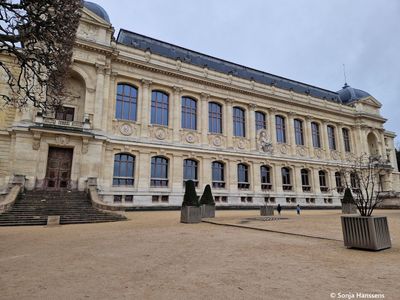 Paris: A Stroll Through Time with the Grande Galerie Ticket - photo 2