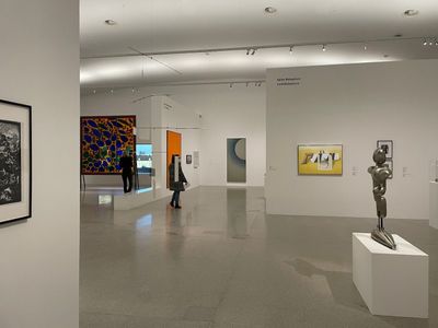 Аудиопрогулка по Вене с билетом в Музей современного искусства (MUMOK)