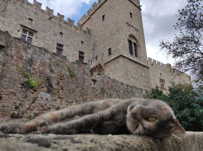 Città medievale di Rodi: visita audio della città vecchia