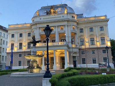 Bratislava La Ciudad de la Paz: Ciudad Vieja y Castillo de Bratislava - photo 2