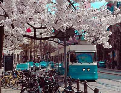 Gothenburg: Haga's Historic Charm Audio Tour