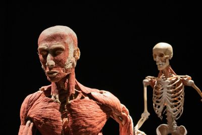 Amsterdam: BODY WORLDS Ticket and Audio Walk Through the City