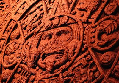 Chicago: Biglietto e audio tour del Field Museum - photo 2