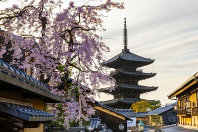 Kyoto: Historic Cherry Blossom Audio Tour