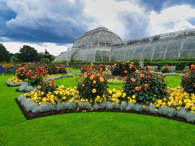 Kew Gardens: Entry Ticket and a Self-Guided Audio Tour
