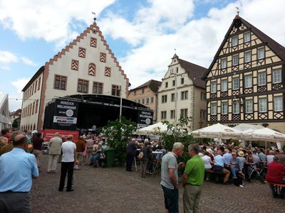 Bad Mergentheim: Historical Spa Charm Audio Tour