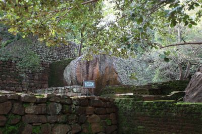 Matale: Sigiriya's Ancient Wonders Audio Tour - photo 2