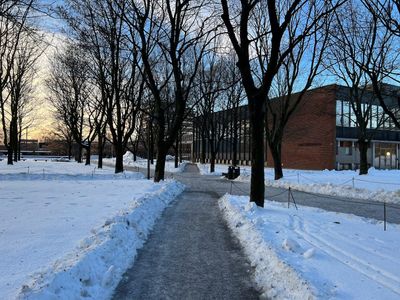 Oslo: Regal Treasures Audio Tour - photo 2