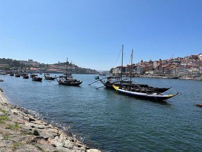 Porto's Marvelous Milestones: City Highlights Tour - photo 2