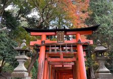 Senbon Torii (...