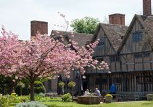 Halls Croft