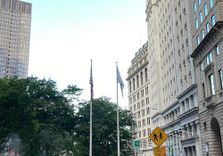 Charging Bull