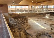 Domus del Chirurgo