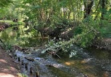 the Panke River