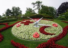 Flower clock