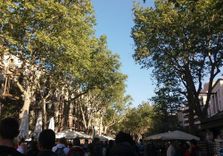 Carre de Montcada