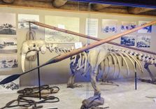 The Polar Museum