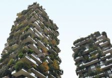 Bosco Verticale