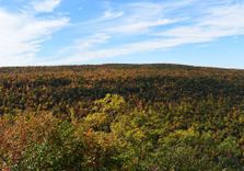 Ontario County ...