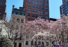 Gramercy Park