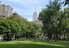 Madison Square ...