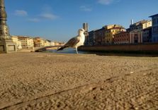Ponte di Mezzo