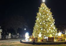 National Christm...
