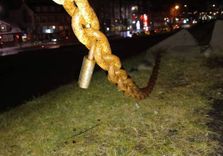 Reykjavík Junior ...