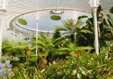 Glasgow Botanic...