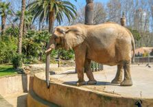 Barcelona Zoo