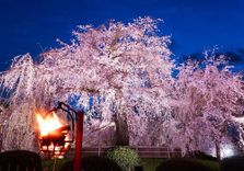 Maruyama Park