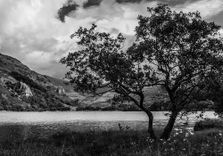 Llyn Gwynant