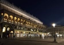 Piazza della F...
