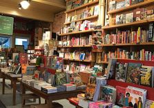 Librairie Drawn &...