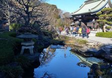 Hasedera