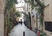 Via Olginati