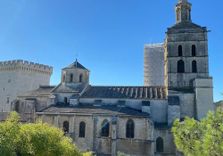 Jardin des Doms