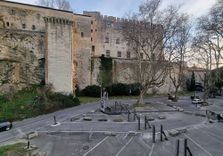 Musée du Petit P...