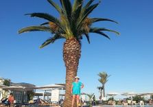 Tunis