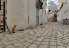 Tourbet El Bey