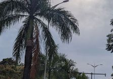 KN 5 Road